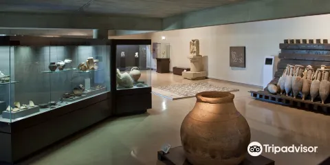 亨利.普拉德博物館