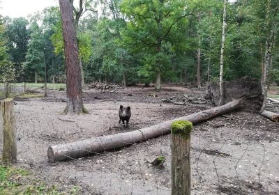 Wildpark Alte Fasanerie Klein-Auheim