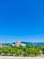 Egret Himeji