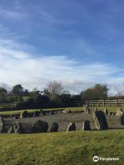 Drumskinny Stone Circle (State Care Monument)