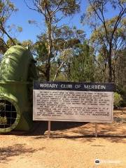 Merbein Lookout