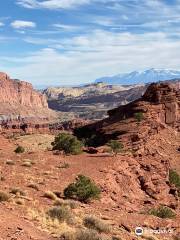 Goosenecks Overlook Trl