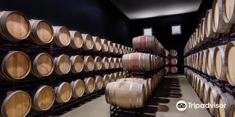 Tiago Cabaco Wines