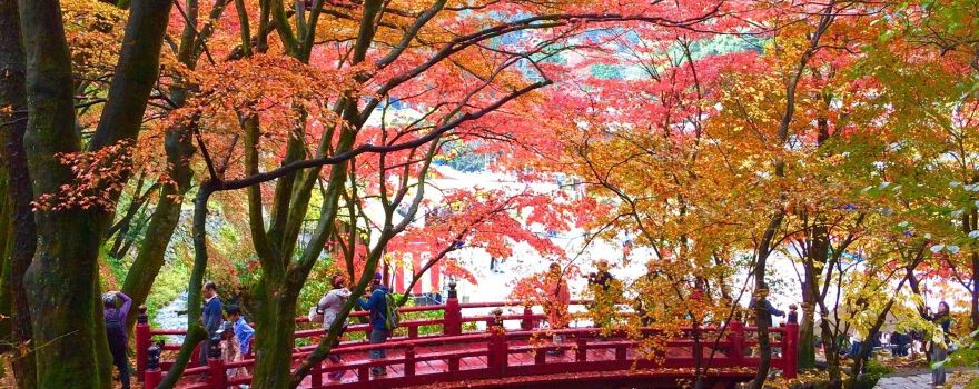 Ryōkaizan Yokokura-ji Temple