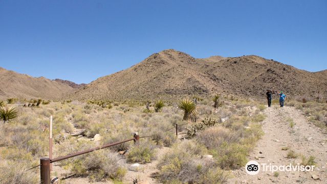 Mount Tipton Wilderness