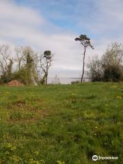 Worlebury Hillfort