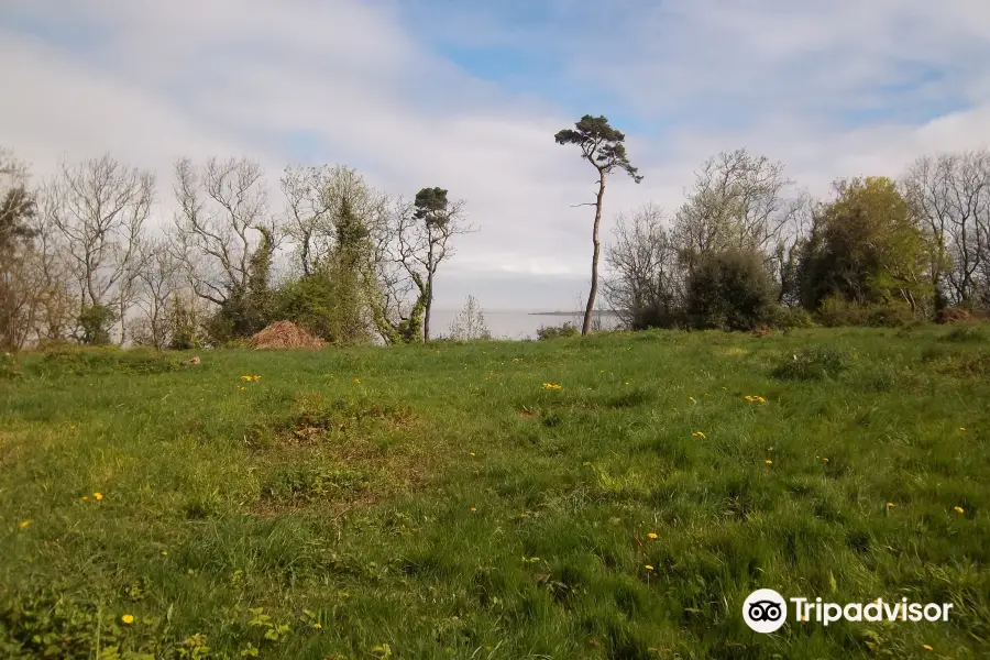 Worlebury Hillfort