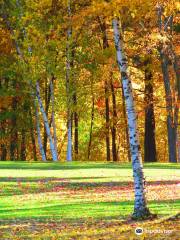 Campbell's Scottish Highlands Golf Course