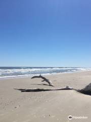 Matagorda Island Wildlife Management Area