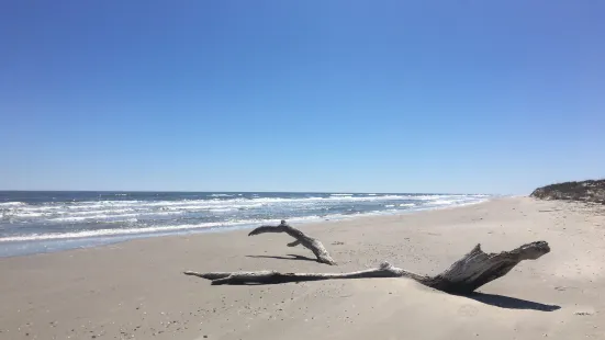 Matagorda Island Wildlife Management Area