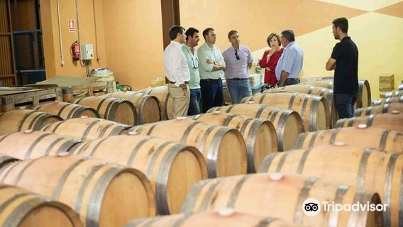 Bodegas Jabalcon