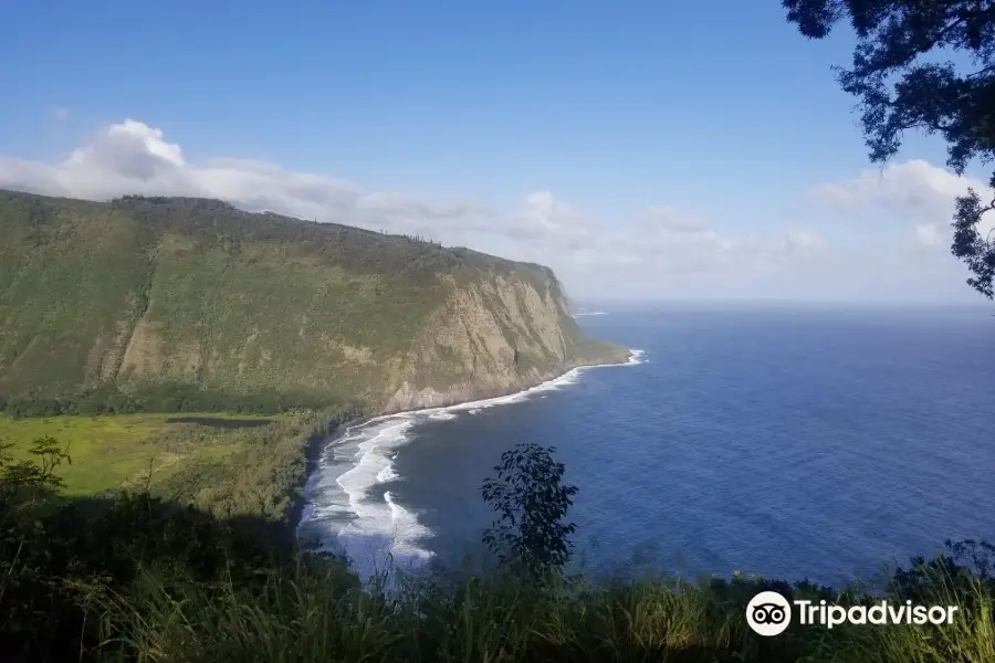 Waipio Na'alapa Trail