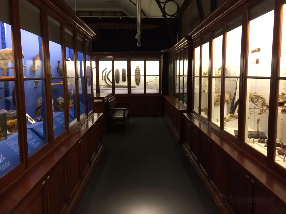 Hotels near Macleay Museum