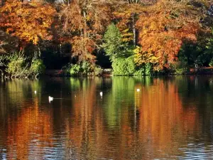 Hartsholme Country Park