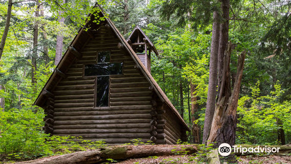 Hartwick Pines State Park