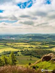 The Wrekin