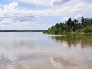 Karujarv