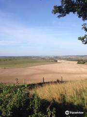 Ivinghoe Beacon