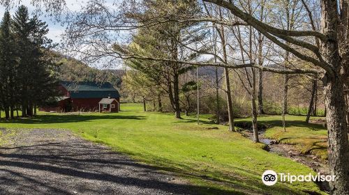 Mckie Hollow Farm