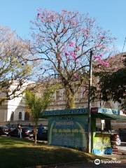 Praça Carlos Gomes