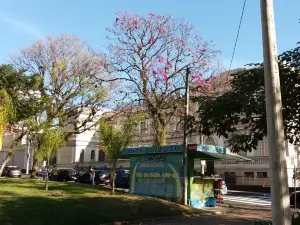 Carlos Gomes Square