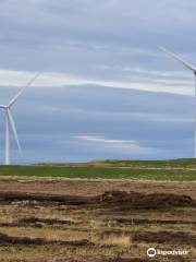 RSPB Birsay Moors