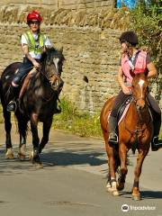 Pevlings Farm Riding & Livery Stables