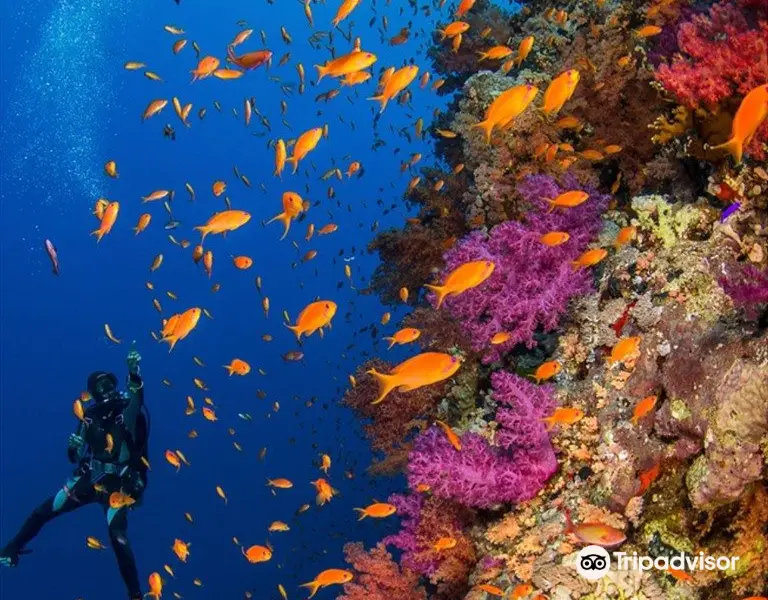 Rainbow Divers-Nha Trang