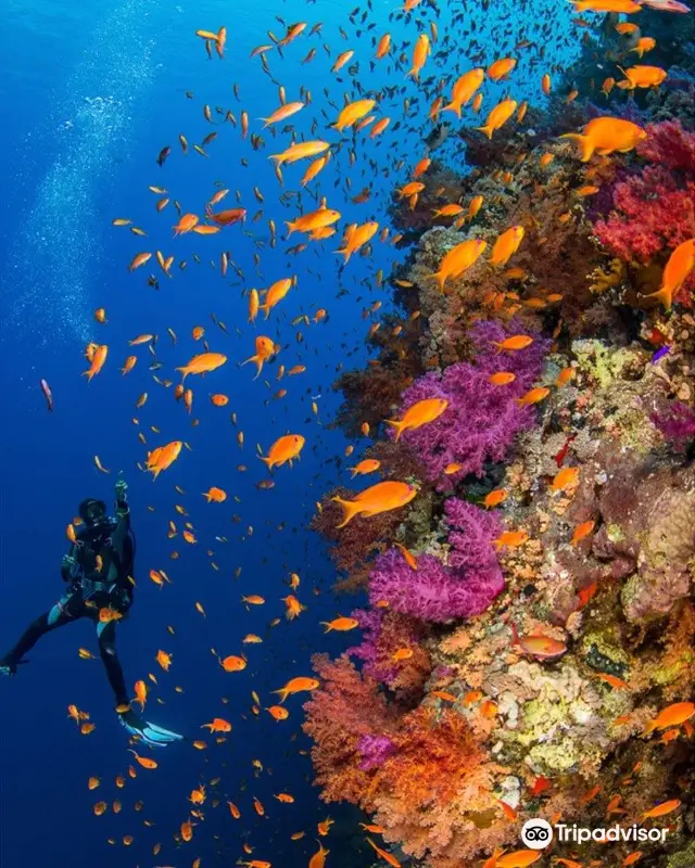 Diving in Nha Trang