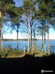 Hanningfield Nature Discovery Centre