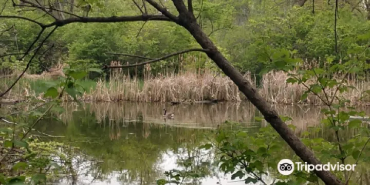 Heron Haven Nature Center