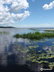 Tapajós National Forest