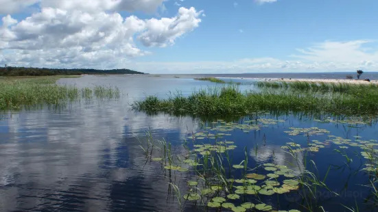 Tapajós National Forest