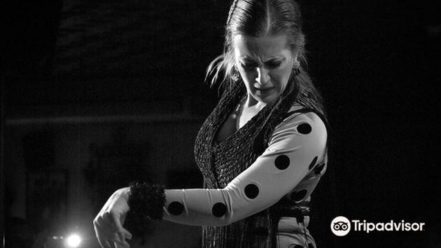 Tablao Flamenco Albayzin