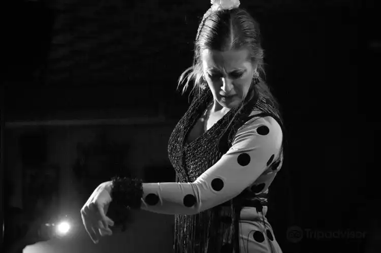 Hotels near Tablao Flamenco Albayzin