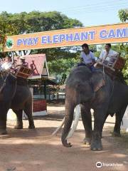 Pyay Elephant Camp