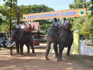 Pyay Elephant Camp