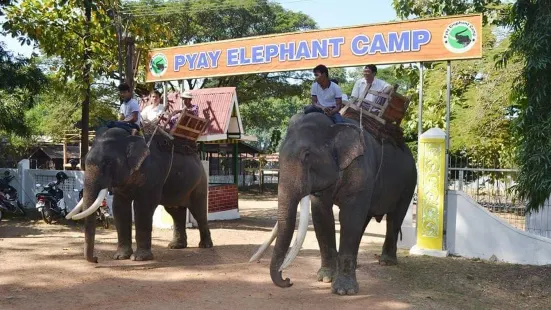 Pyay Elephant Camp