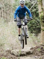 Castlewellan Mountain Bike Trails