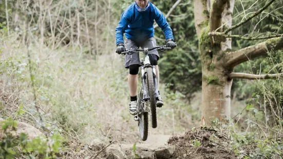 Castlewellan Mountain Bike Trails