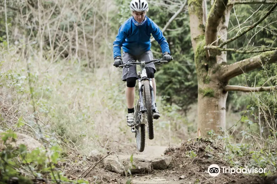 Castlewellan Mountain Bike Trails