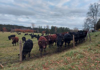 Herzogsägmühle Landwirtschaftliche Diakonie Oberbayern