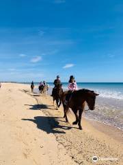 Tavira Equestrian Tourism