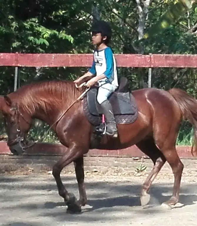 Tengaran