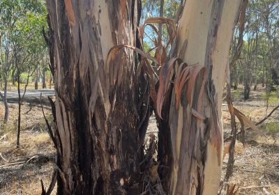 Heathcote-Graytown National Park