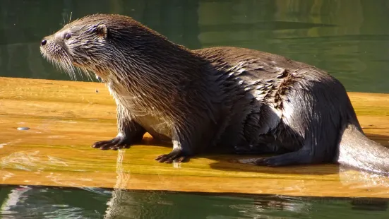 Augsburg Zoo