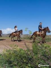 Rancho la Ponderosa Day Horseback Riding Tours