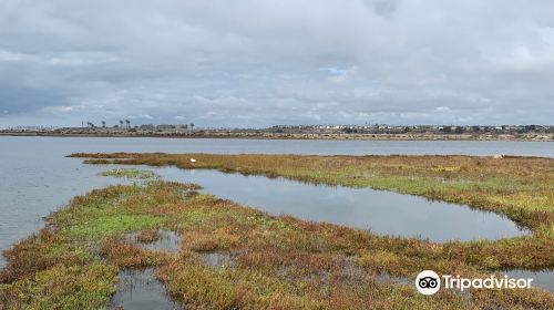 Bolsa Chica Ecological Reserve