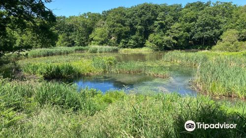 Wildgrounds Nature Reserve