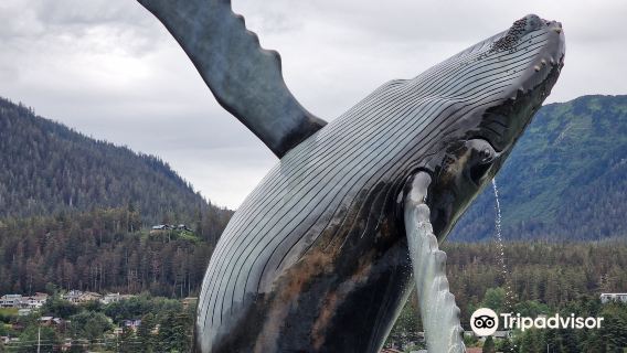 The Whale Project